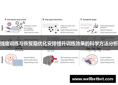 强度训练与恢复期优化安排提升训练效果的科学方法分析