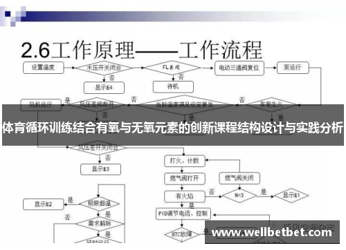 体育循环训练结合有氧与无氧元素的创新课程结构设计与实践分析